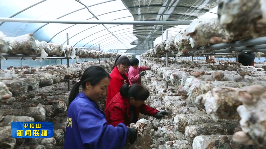 微信图片_20211202085931.png 微信图片_20211202085931.png