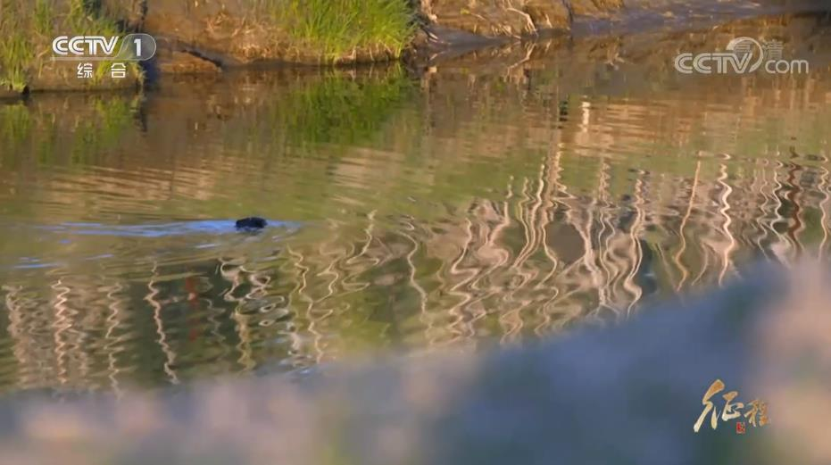 图片8.png 图片8.png