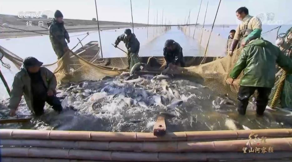 图片11.png 图片11.png