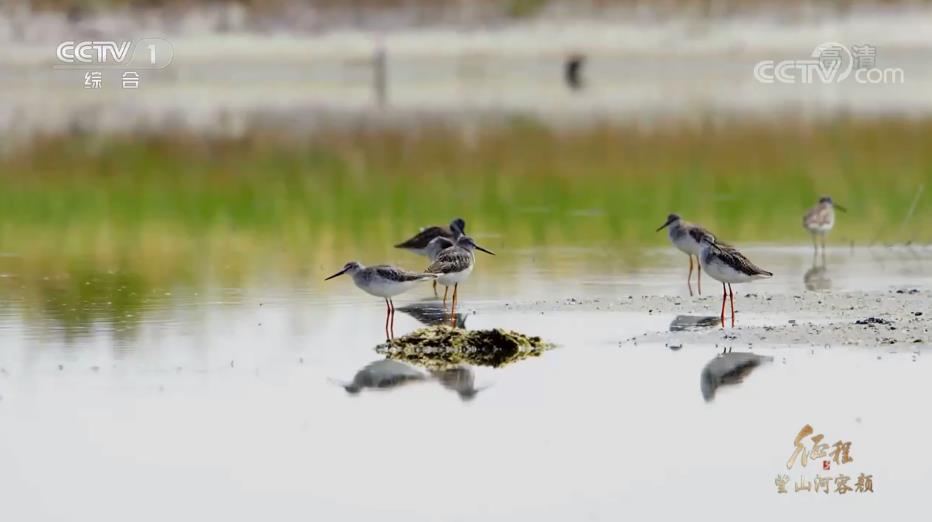 图片9.png 图片9.png