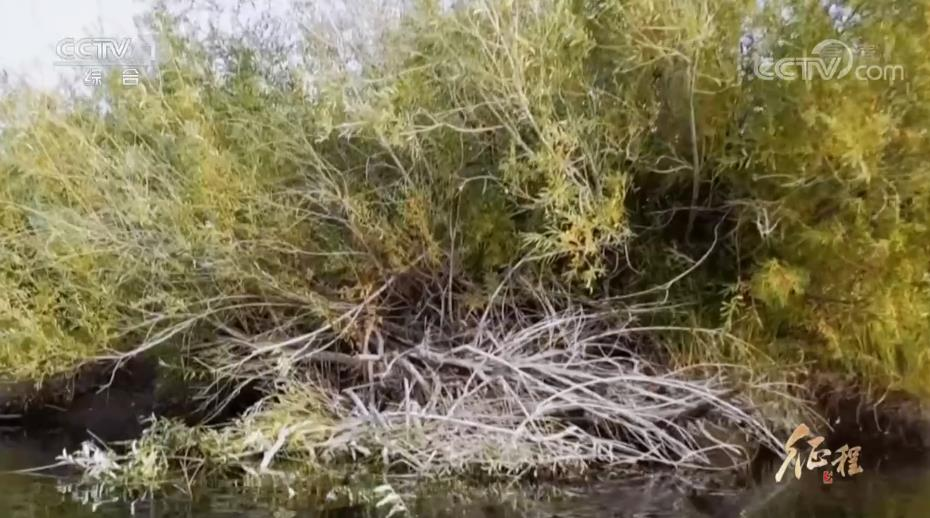 图片5.png 图片5.png