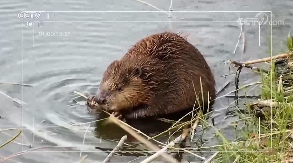 图片6.png 图片6.png