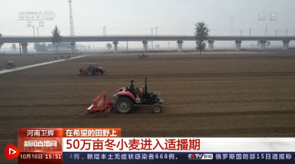 希望的田野上.png