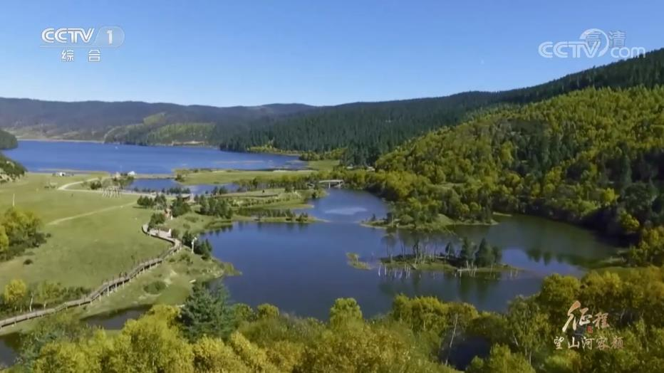 图片17.png 图片17.png