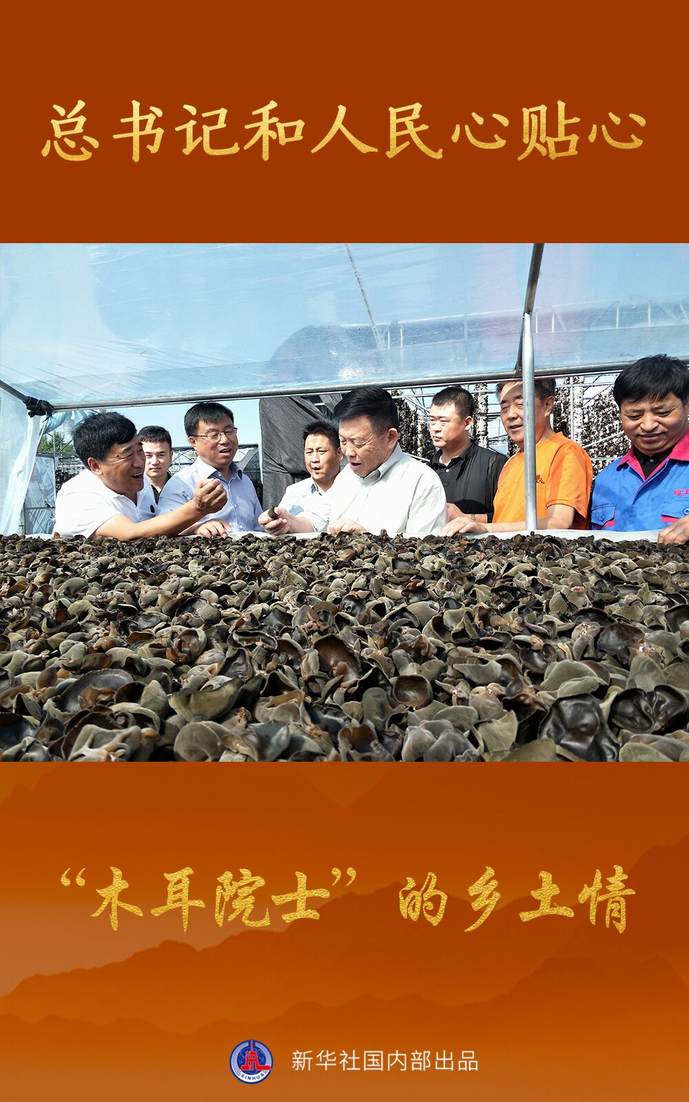 图片12.png 图片12.png