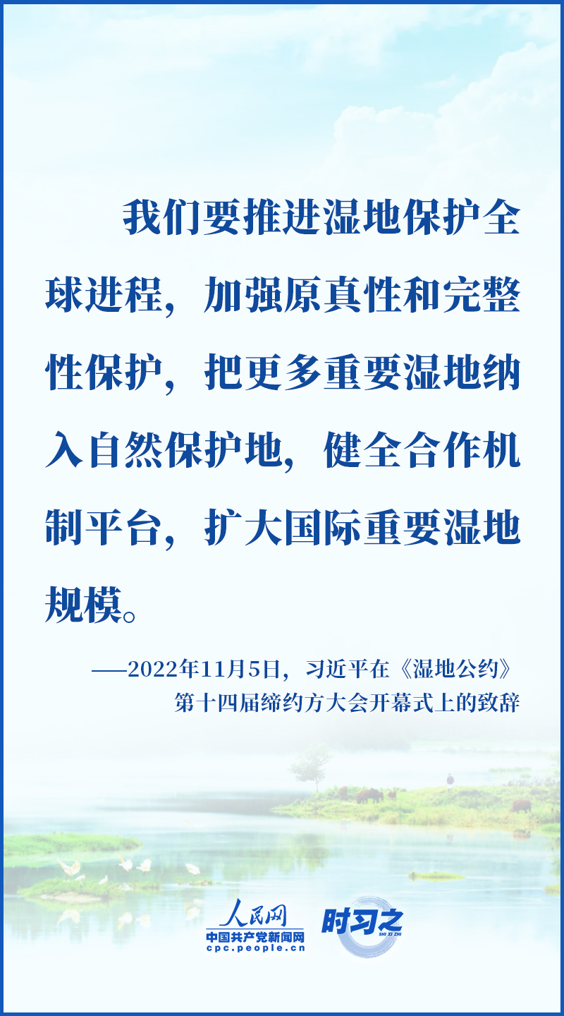 222.jpg