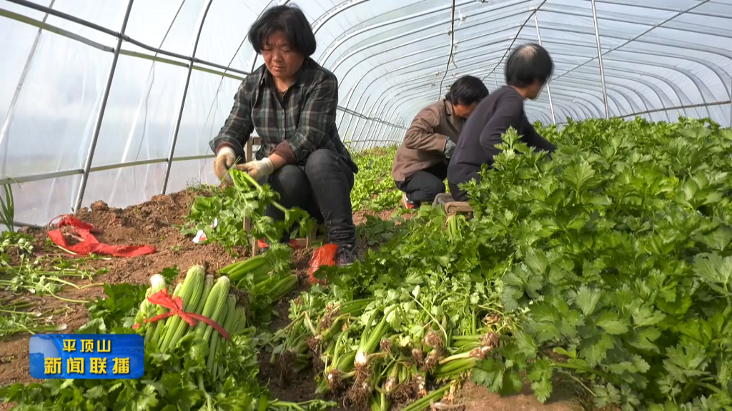 平顶山新闻2022年3月11日（9）[00_00_20][20220311-173203].png