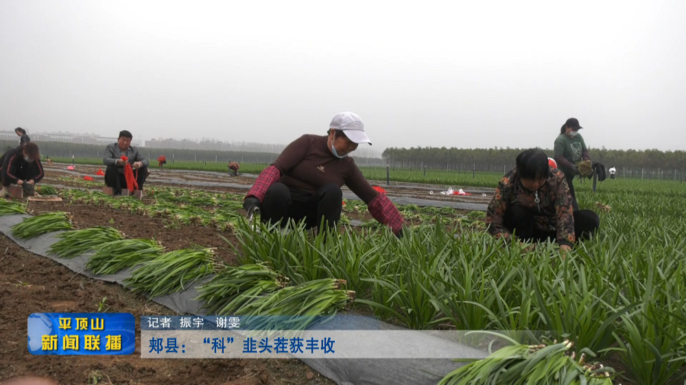 平顶山新闻2022年3月21日(10)[20220321-183038].png