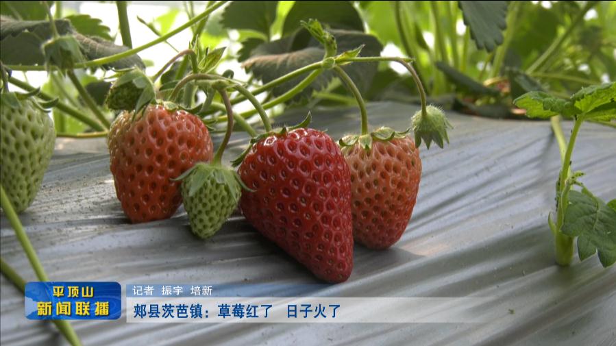 微信截图_20220325184255.jpg