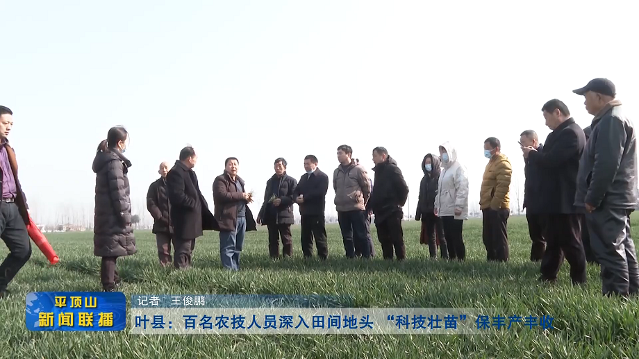 平顶山新闻2022年3月1日(9)[00_00_08][20220301-191359].png