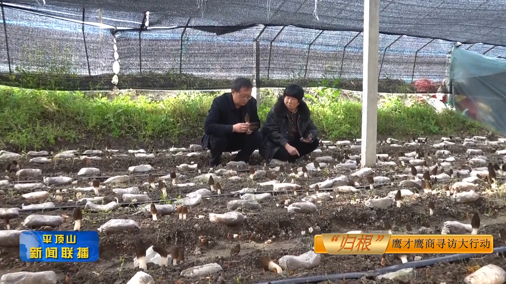 平顶山新闻2022年3月29日(7)[00_00_18][20220329-181040].png