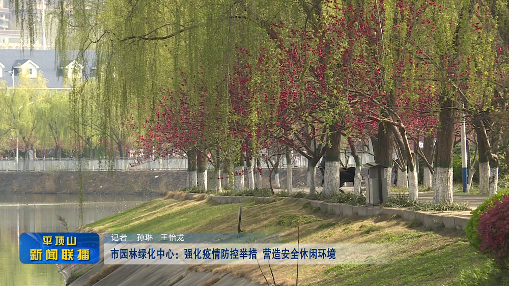 平顶山新闻2022年3月30日（12）[00_00_01][20220330-173639].png