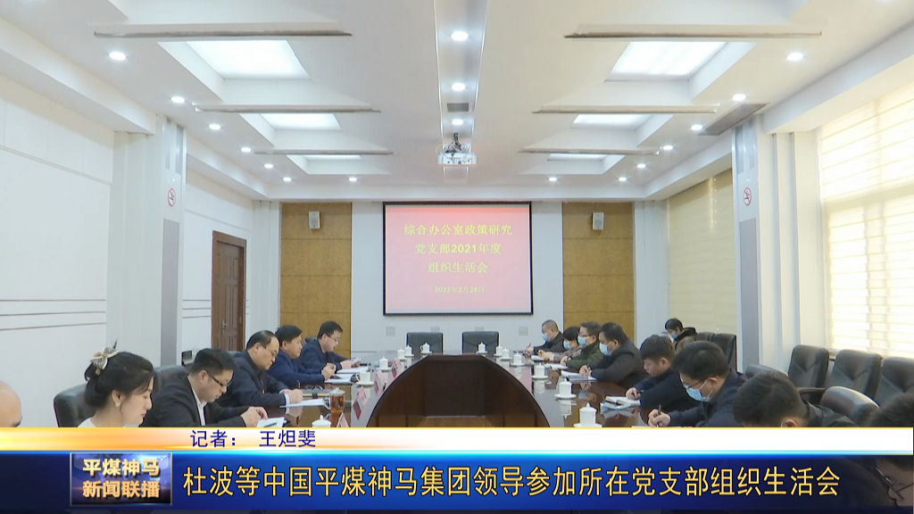 杜波等中国平煤神马集团领导参加所在党支部[00_00_41][20220302-175622].png
