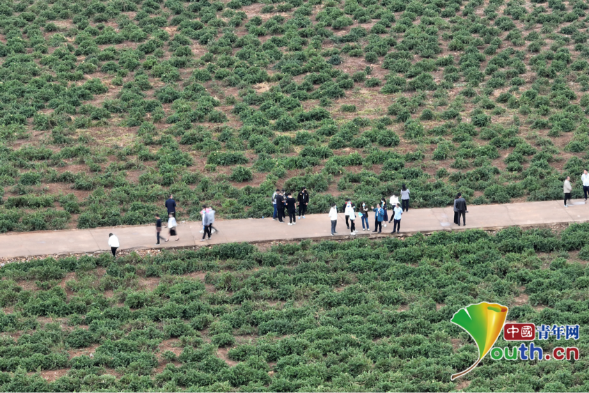 图片1.png 图片1.png