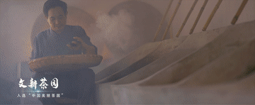5.gif