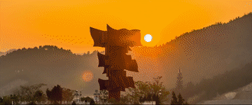 6.gif
