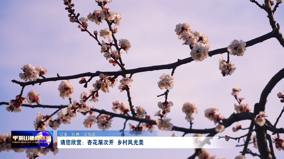 微信截图_20250313165735.png
