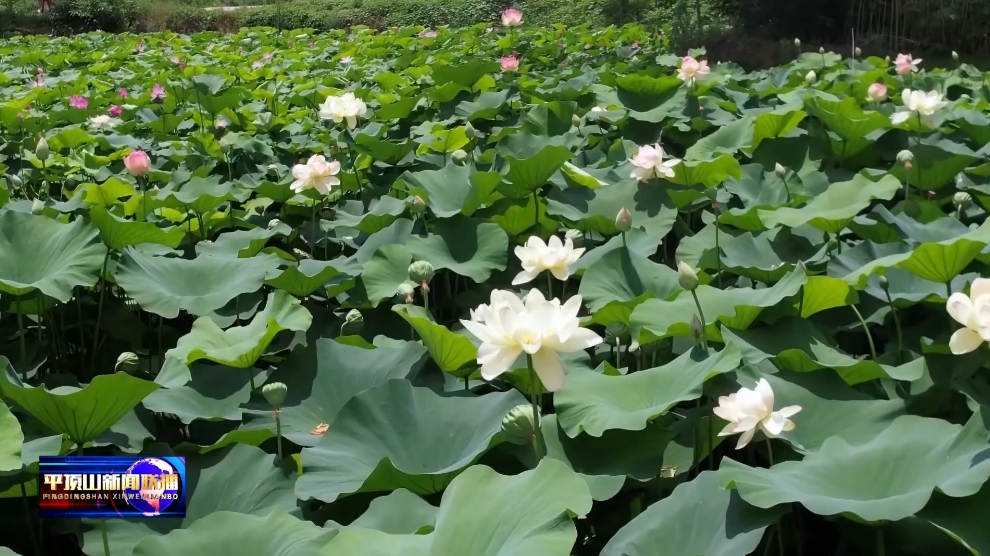 微信截图_20250714164347.png